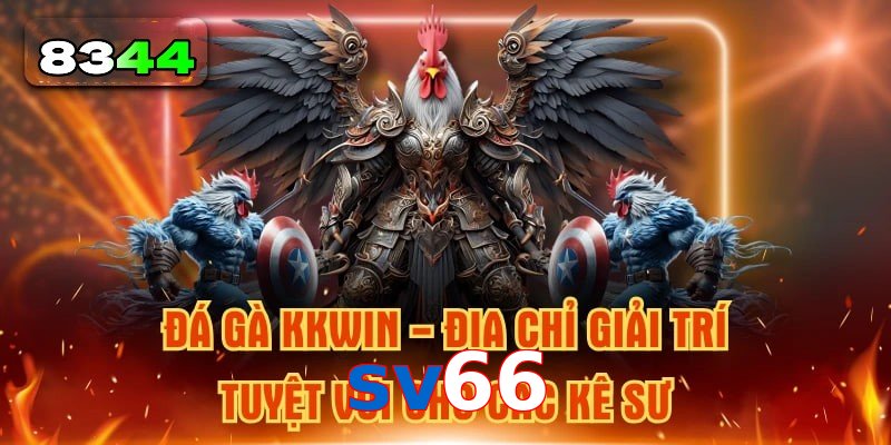 Xu Hướng Đá Gà sv66 Hấp Dẫn Không Thể Bỏ Lỡ